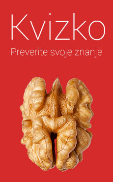 Preverite svoje znanje