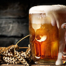 Pivo